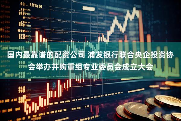 国内最靠谱的配资公司 浦发银行联合央企投资协会举办并购重组专业委员会成立大会
