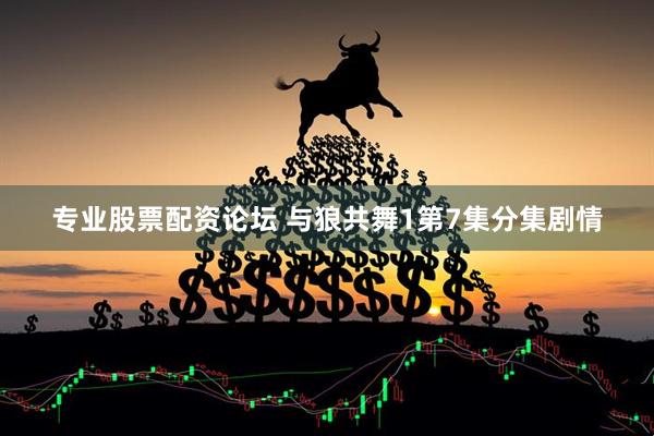 专业股票配资论坛 与狼共舞1第7集分集剧情